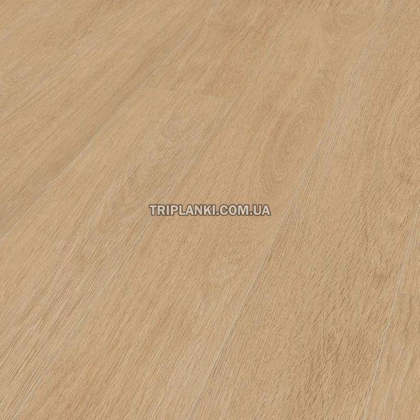 Ламінат Kronotex Mammut Plus Elegance Oak Creme 81162 клас 33 товщина 10