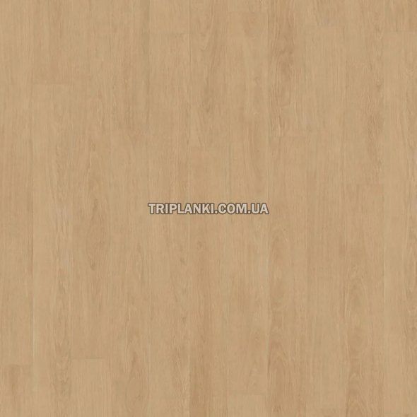 Ламінат Kronotex Mammut Plus Elegance Oak Creme 81162 клас 33 товщина 10
