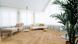 Ламинат Kronotex Herringbone 3861 Pisa Oak - класс 32 толщина 8