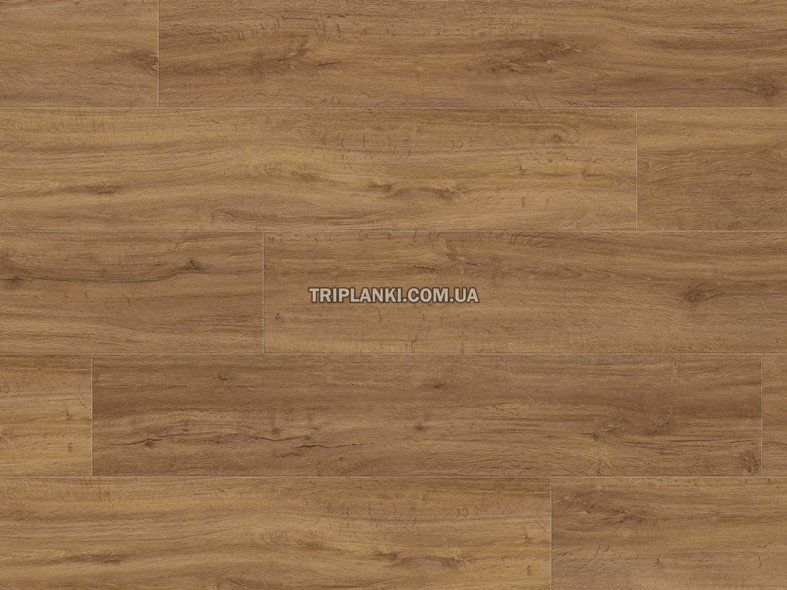 Виниловый пол кварц-виниловый ламинат Haro Disano - Mountain Oak 540068