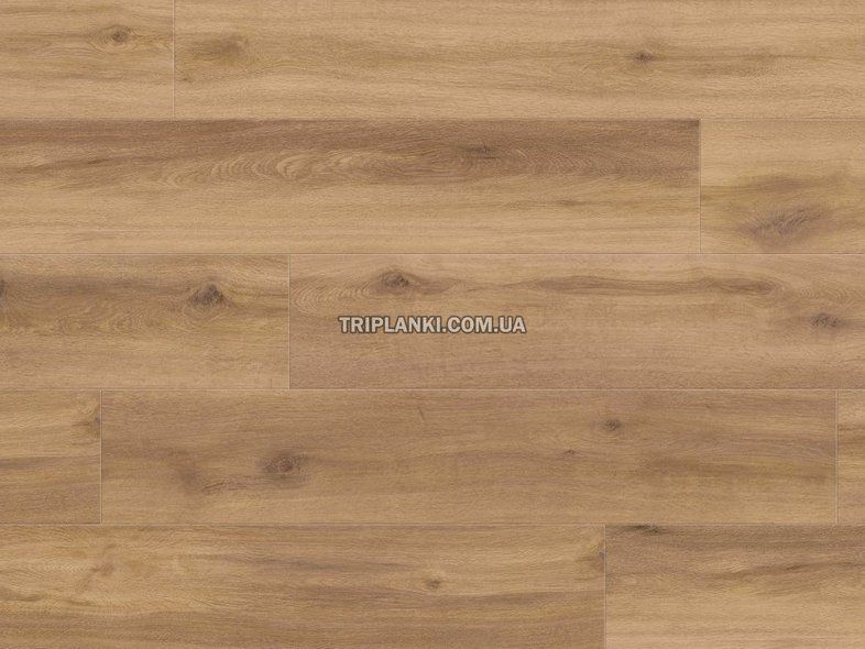 Вінілова підлога кварц-вініловий ламінат Haro Disano - Oak Provence Nature 540070