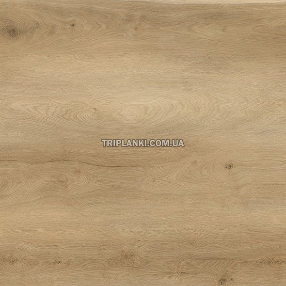Кварц Вінілова підлога SPC ламінат BlissGround Grove GLEN