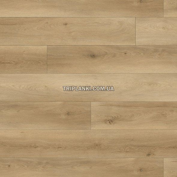 Кварц Вінілова підлога SPC ламінат BlissGround Grove GLEN