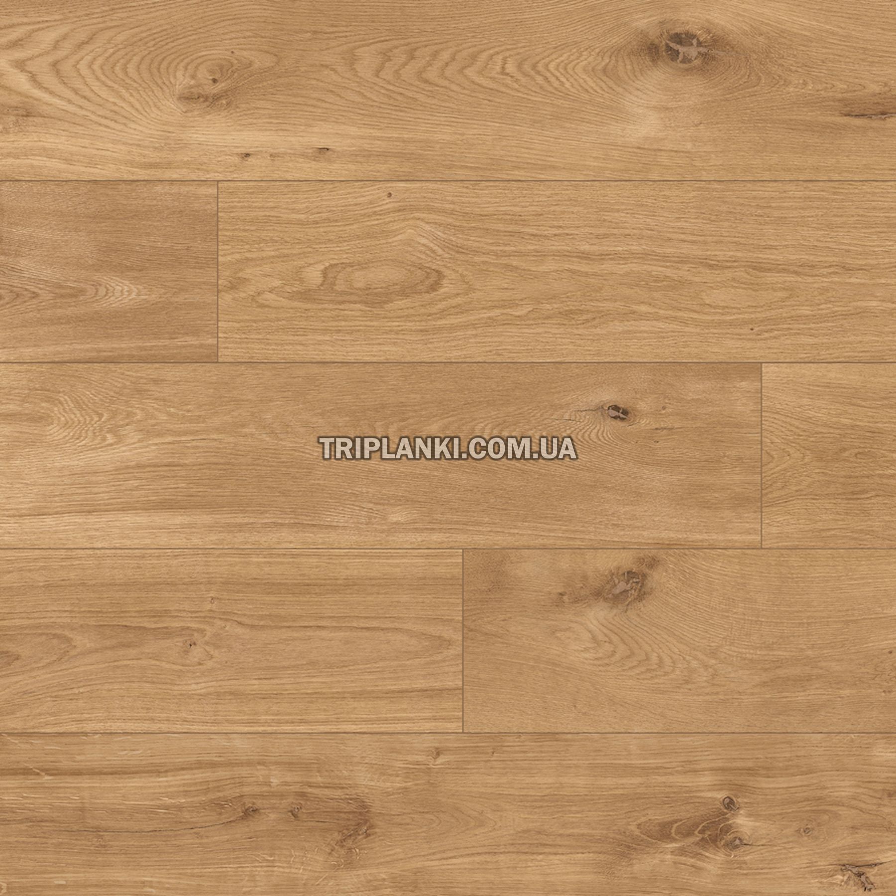 Кварц Вінілова підлога SPC/LVT ламінат Ceramin Safari 65144