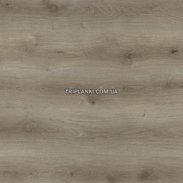 Кварц Виниловый пол SPC ламинат BlissGround Grove TWIG