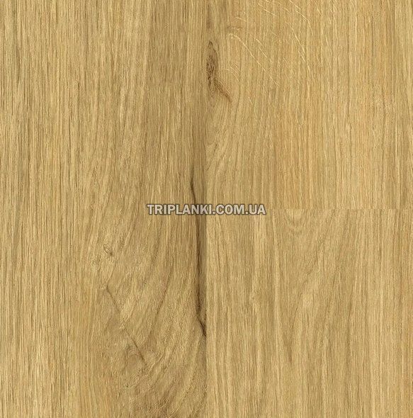 Кварц Вінілова підлога SPC ламінат Falquon The Floor Wood P7001 Дуб Медовий