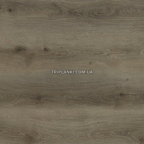 Кварц Вінілова підлога SPC Ламінат BlissGround Nature Evo Nature Evo Grey