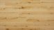 Кварц Виниловый пол Barlinek: Beauty Floor Hazel Oak