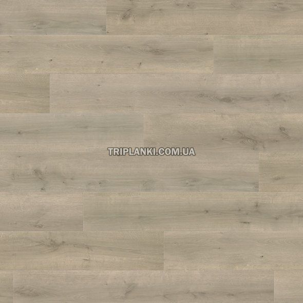 Кварц Виниловый пол SPC Ламинат HARO Oak Hestra Velvet Ggrey 543631