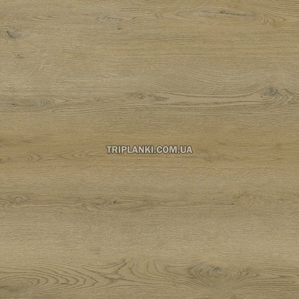 Кварц Виниловый пол SPC Ламинат BlissGround Nature Evo Nature Evo Viva