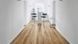 Ламінат Kaindl (Каиндл) AQUA PRO Oak CORDOBA NOBLE K2242 клас 33 товщина 8