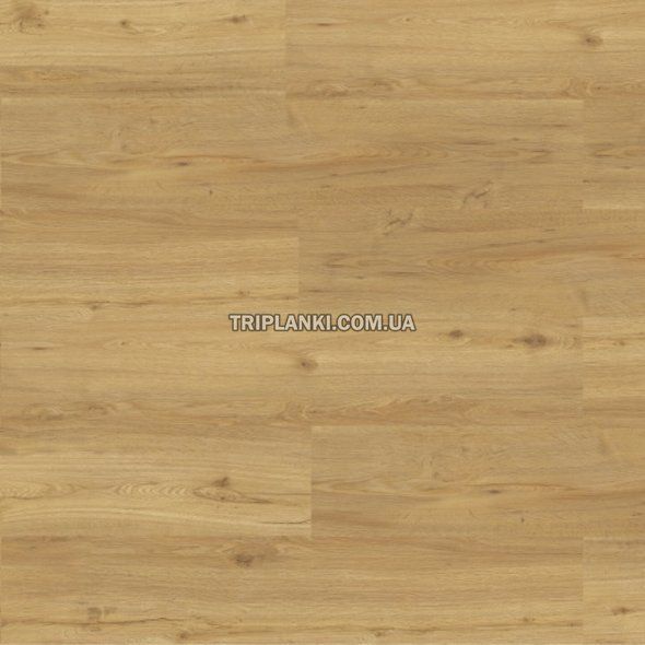 Кварц Виниловый пол SPC Rigid Click CORKART Дуб Золотой летний 9505