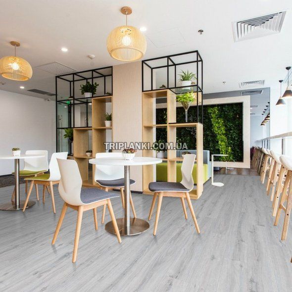 Кварц Виниловый пол SPC ламинат Falquon The Floor Wood P1007 Ice Oak