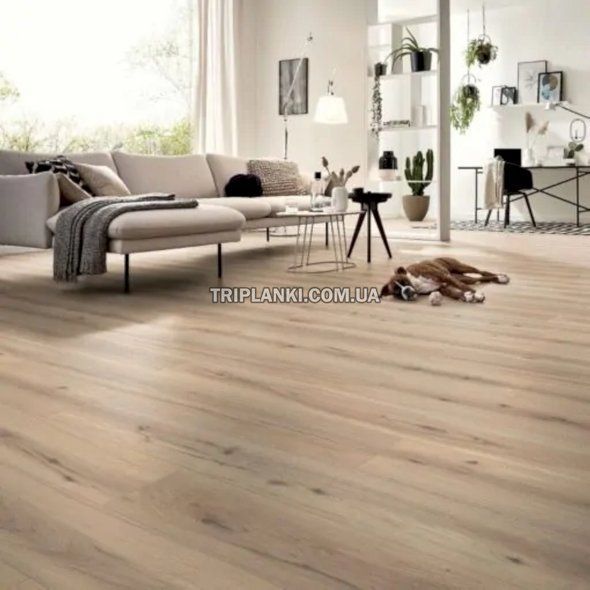 Ламінат Kronotex Robusto Arizona Oak Beige 80032 клас 33 товщина 12