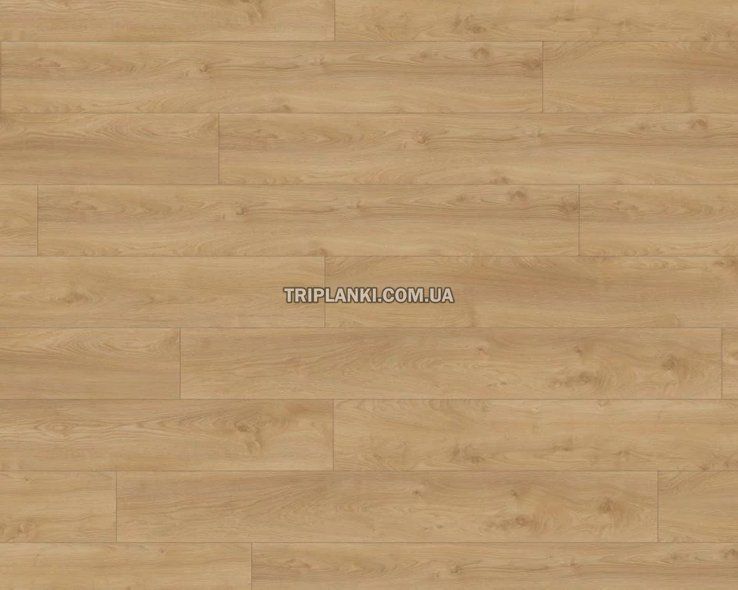Ламінат Kronotex Mammut Plus Makro Oak Silver 41642 клас 33 товщина 10