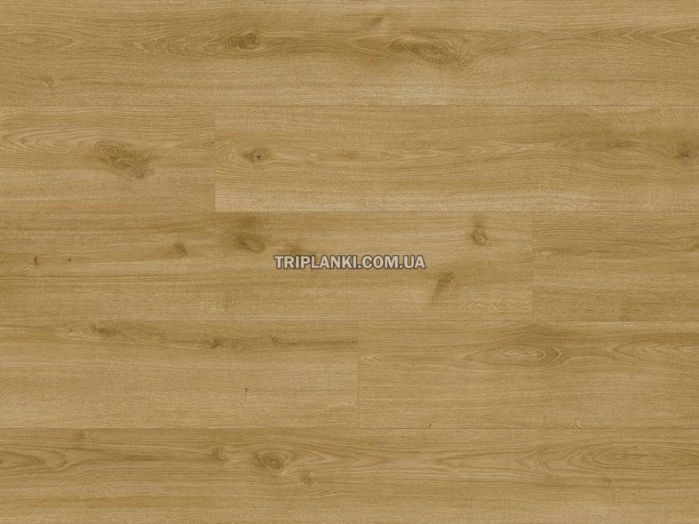 Ламинат Classen Trend Дуб Небраска 66703 класс 33 толщина 8